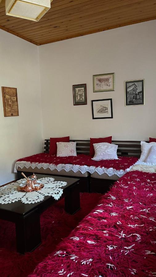 Ana Rest House Hostel Berat Extérieur photo