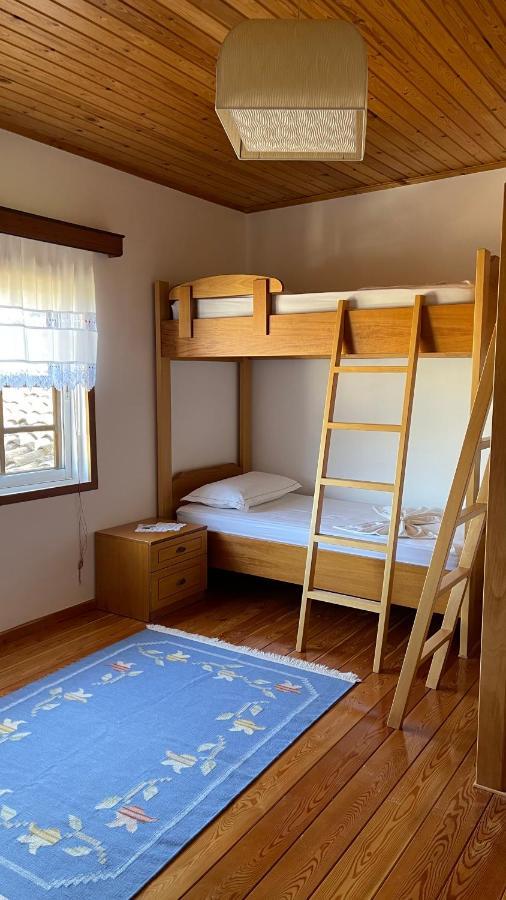Ana Rest House Hostel Berat Extérieur photo